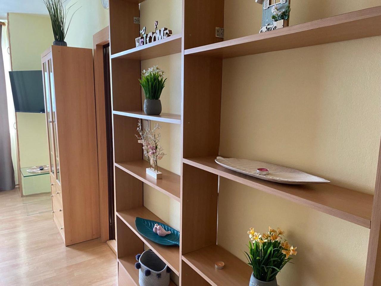 Apartmany 2Kk U Fakultni Nemocnice Volne Parkovani Hradec Králové Esterno foto
